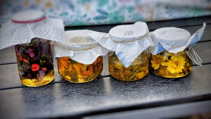 Gänseblümchen Balsam - Workshop – Bild 2