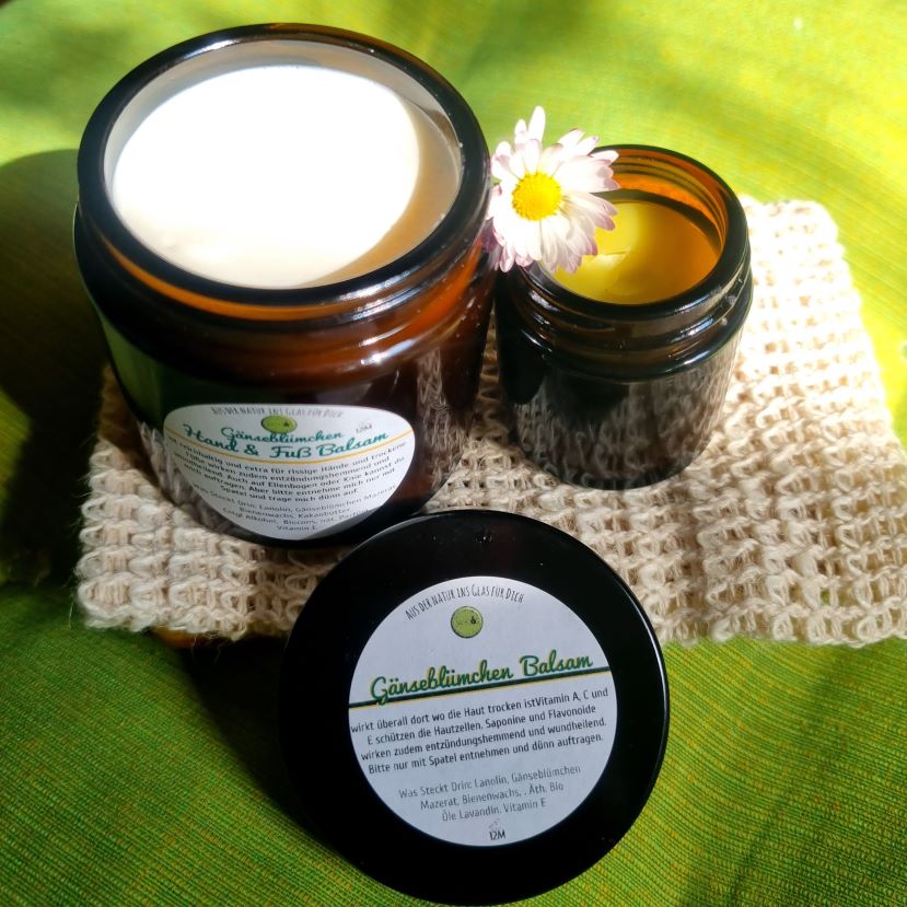 Gänseblümchen Balsam selbermachen