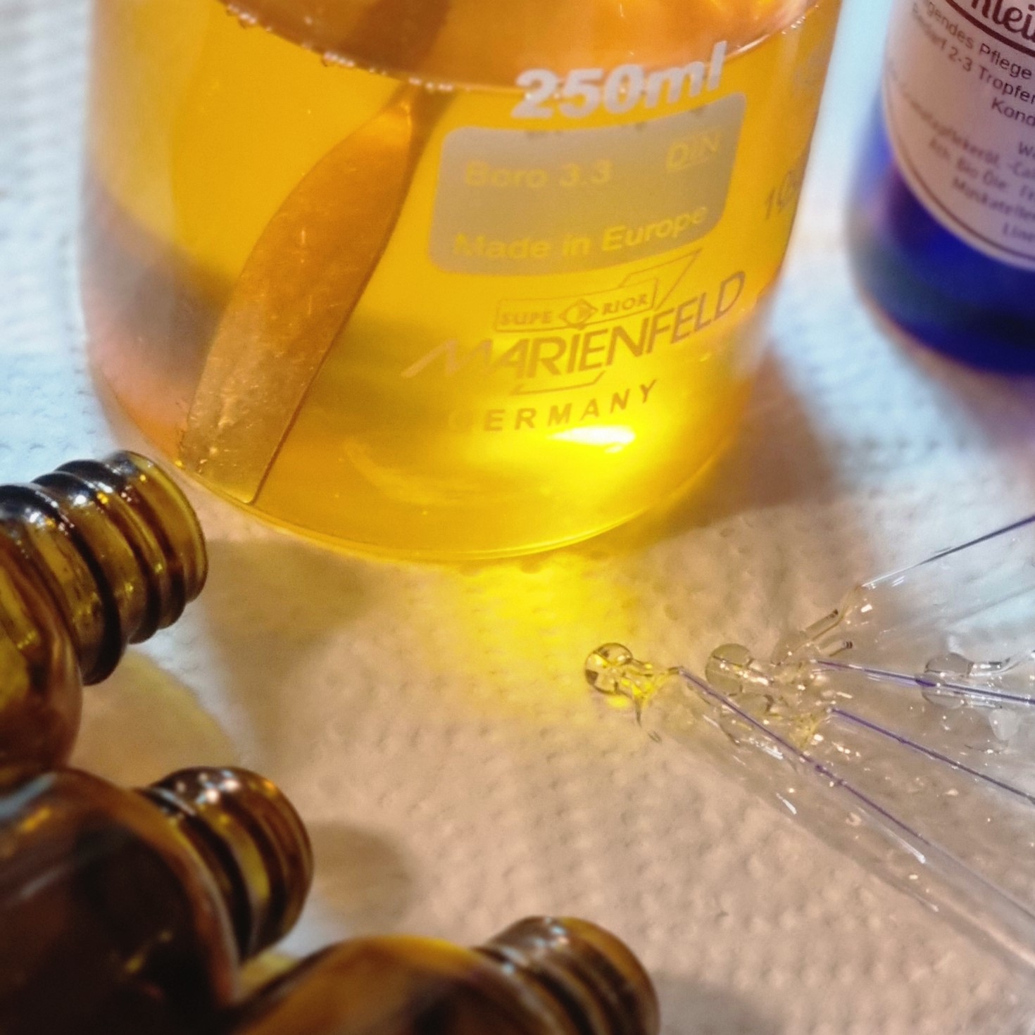 Gänseblümchen Balsam - Workshop – Bild 5