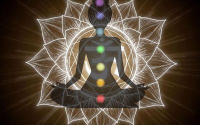 Chakren & Aroma Balsame