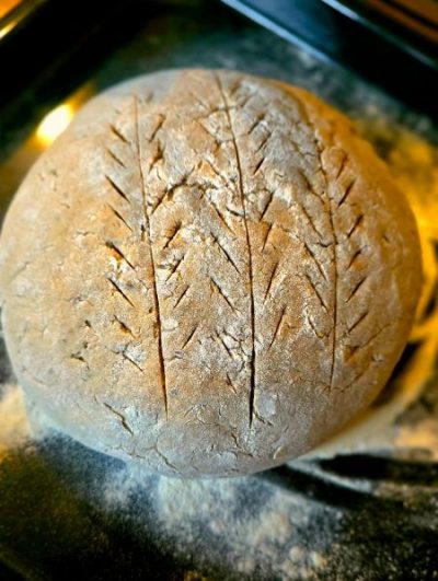 Waldstaudenroggen - Ur-Brot backen – Bild 6