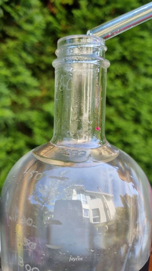 Lavendel destillieren im Workshop – Bild 6