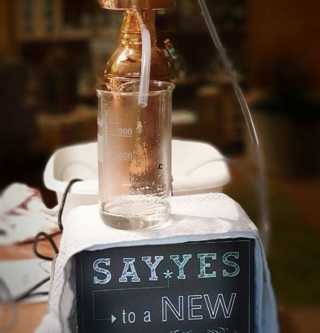 Lavendel destillieren im Workshop II