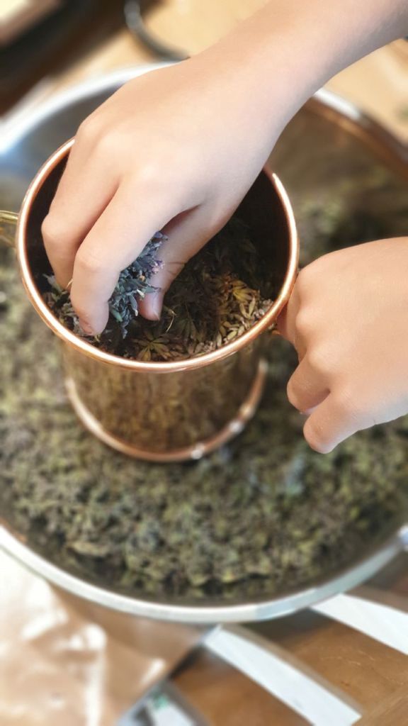 Lavendel destillieren im Workshop – Bild 2