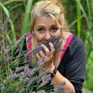 Lavendel der Tausendsasser