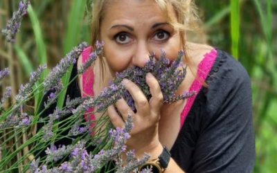 Lavendel ein Tausendsasser