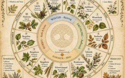 Die 13 Bäume und der Kreis des Jahres