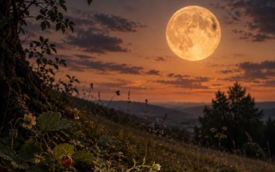 🌕 Mondbrief  6 – zum Erdbeermond  im Juni